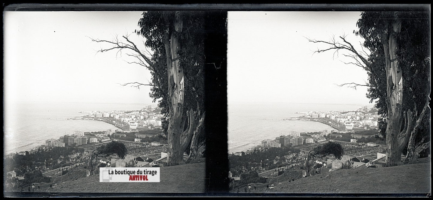 Algérie, Alger mer, plaque verre, photo stéréo, négatif N&B 6x13 cm