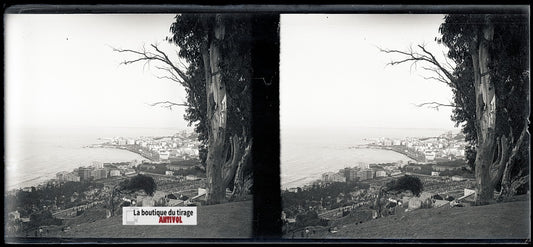 Algérie, Alger mer, plaque verre, photo stéréo, négatif N&B 6x13 cm