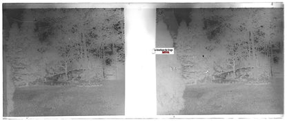 Parc, détente, Plaque verre photo stéréo, négatif noir & blanc 4,5x10,7 cm