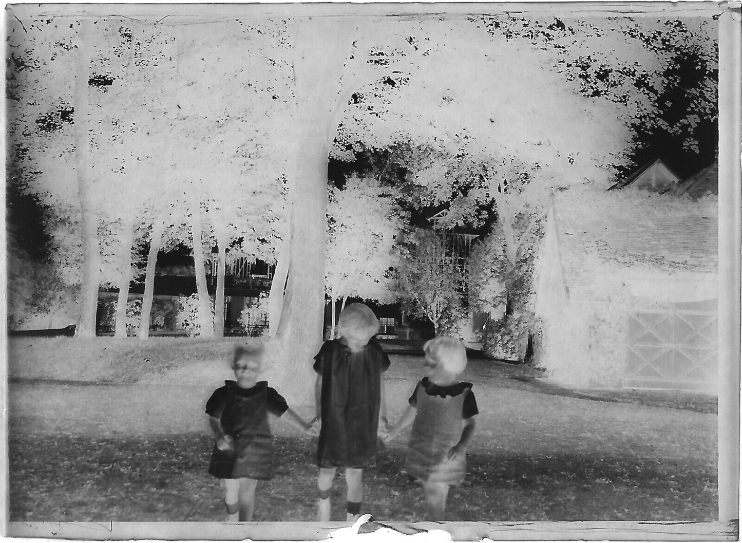 Trianon Versailles, château, photos plaque de verre, lot de 10 négatifs 6x9 cm