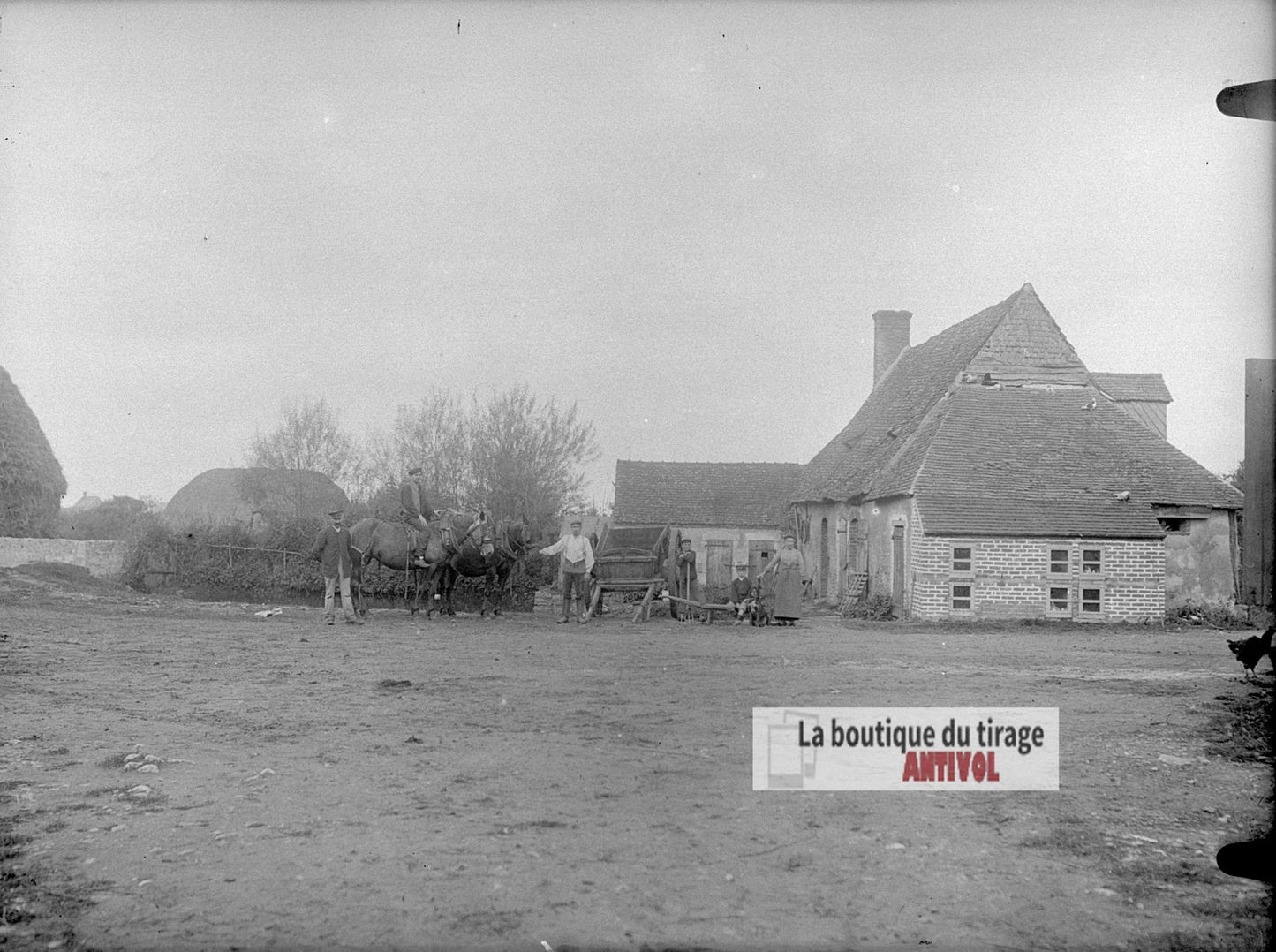 Ferme rurale avec chevaux, plaque verre photo ancienne, négatif 9x12 cm