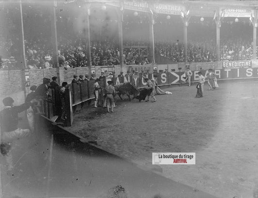 Corrida, taureau, arène, torero, plaque verre photo ancienne, négatif 9x12 cm