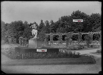 Plaque verre photo ancienne négatif noir et blanc 13x18cm parc public Vittel