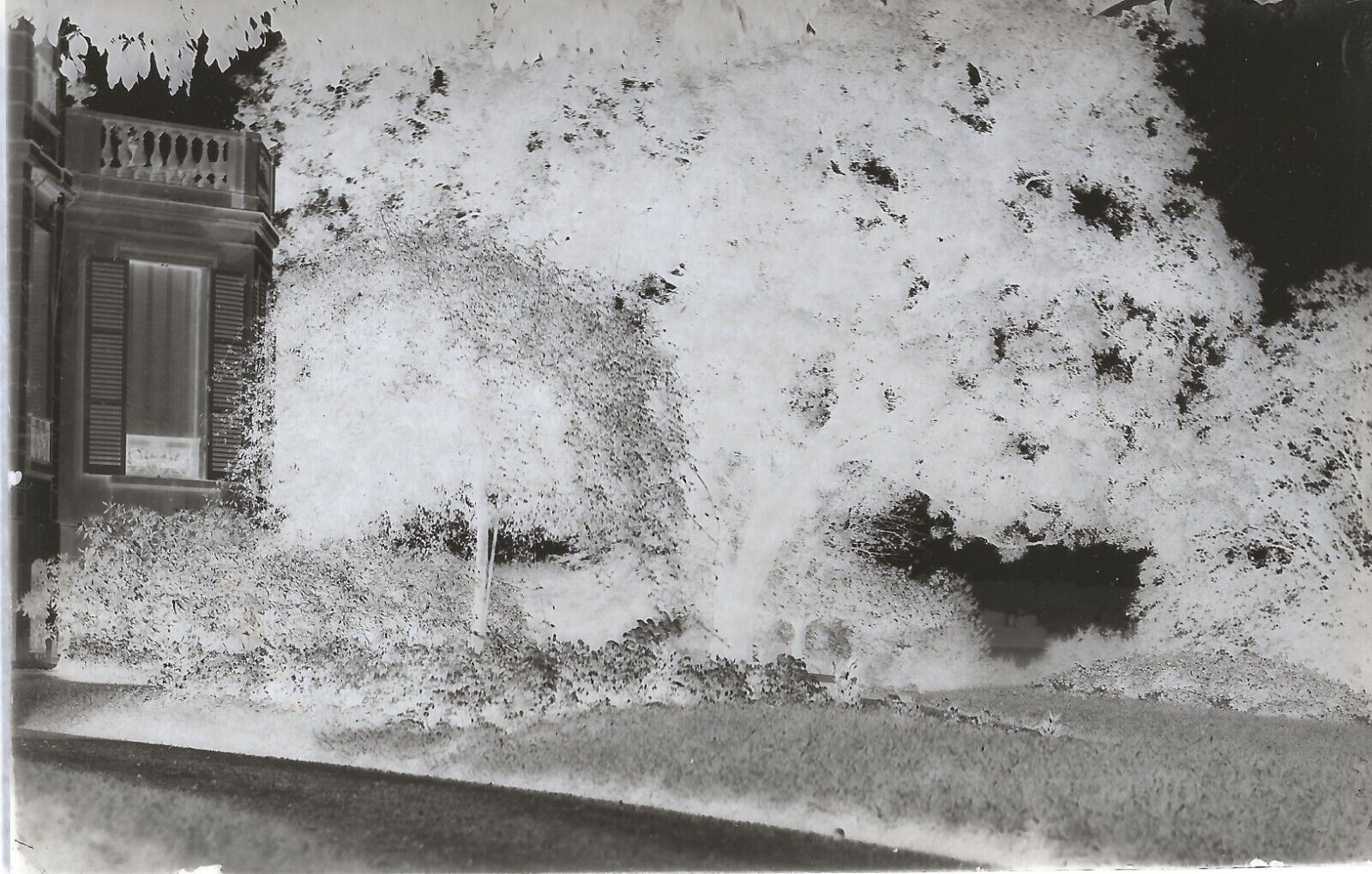 Plaque verre photo ancienne négatif 9x14 cm, noir et blanc château arbre jardin