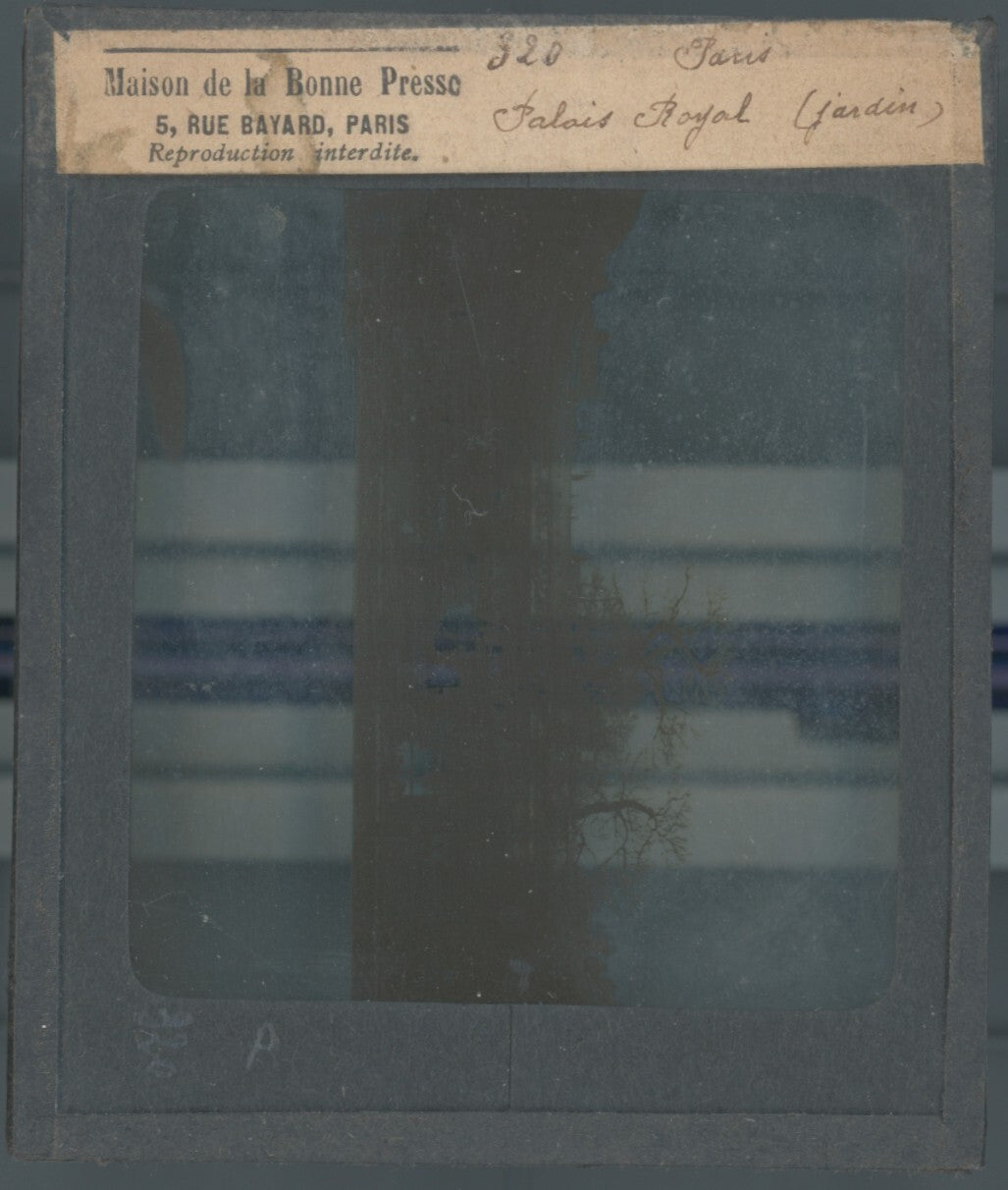 Jardin Palais Royal, Paris, photo ancienne plaque verre, positif 8,5x10 cm