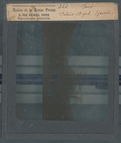 Jardin Palais Royal, Paris, photo ancienne plaque verre, positif 8,5x10 cm