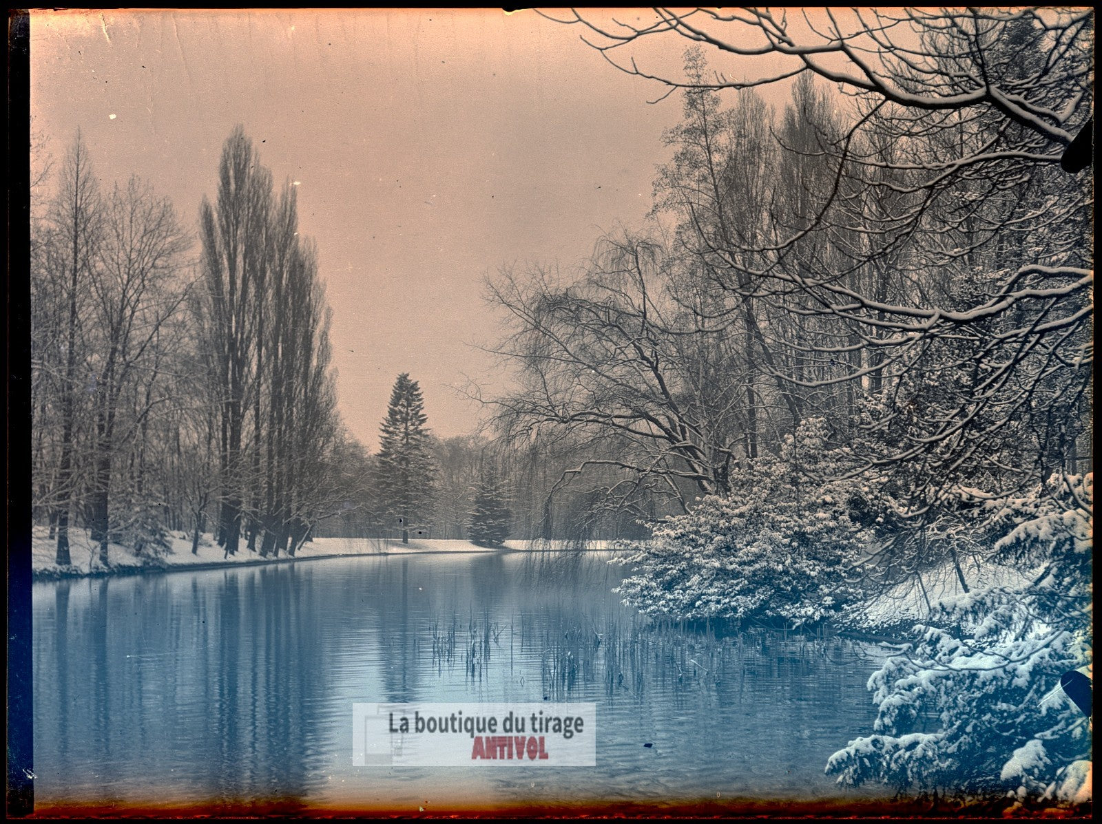 Bois de Boulogne, Paris, plaque verre, photo ancienne, négatif 9x12 cm
