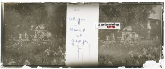 Hôtel Saint-George, Alger, Plaque verre stéréo, positif noir & blanc 4,5x10,7 cm