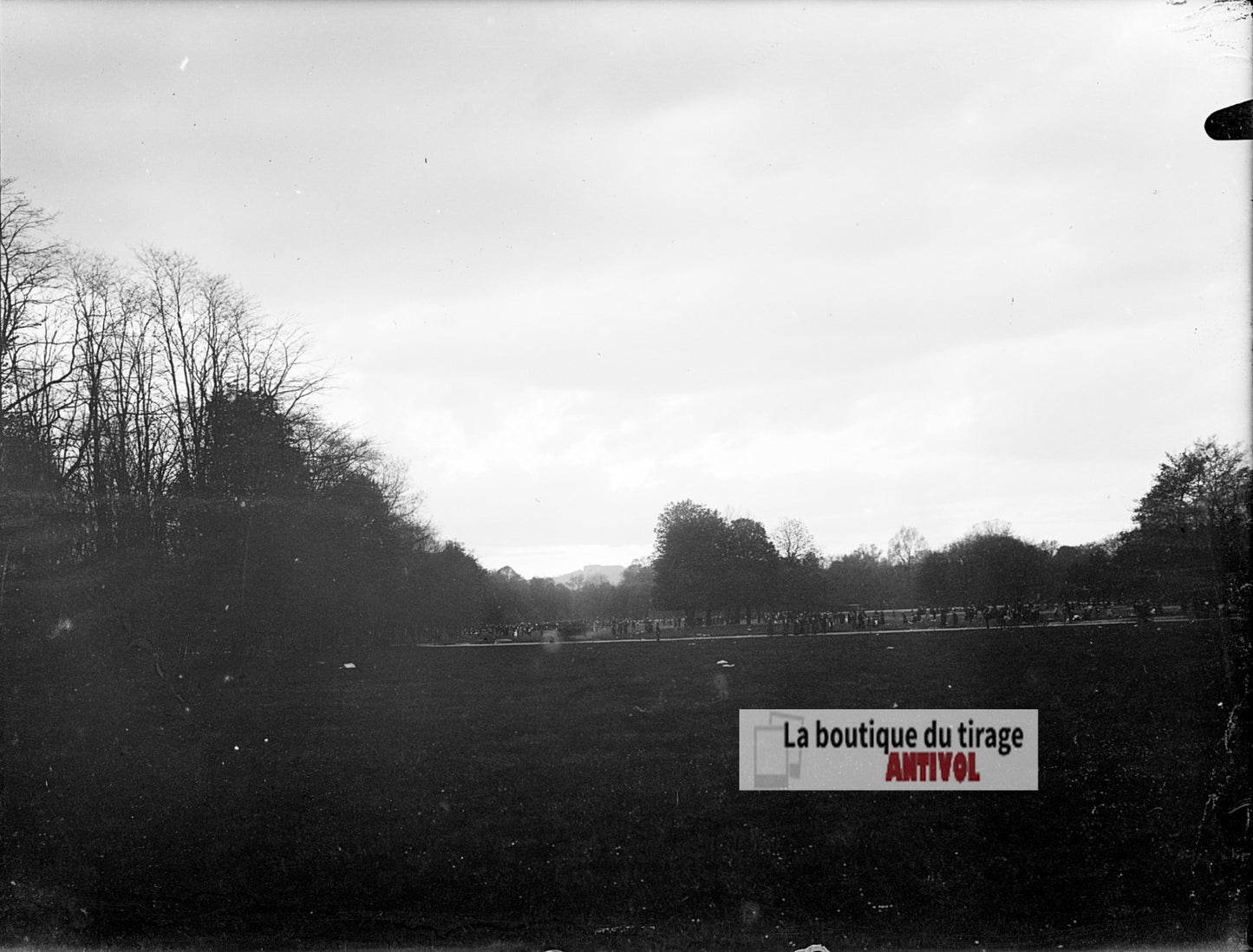 Promenade dans un grand parc, plaque verre photo ancienne, négatif 9x12 cm