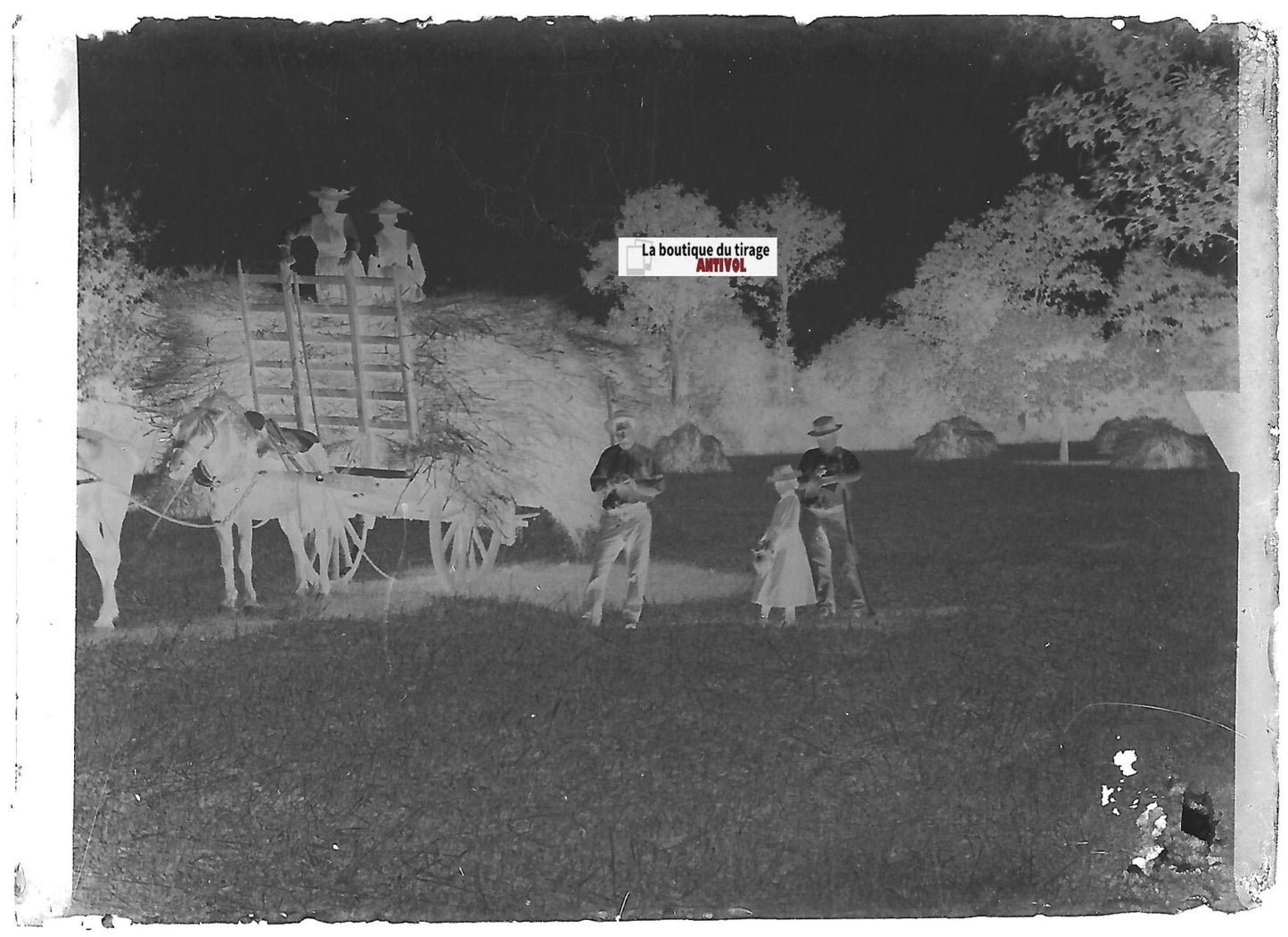 Moisson, paysans, Plaque verre photo ancienne, négatif noir & blanc 6x9 cm
