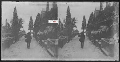 Cimetière, Plaque verre photo ancienne, stéréo négatif noir & blanc 9x18 cm