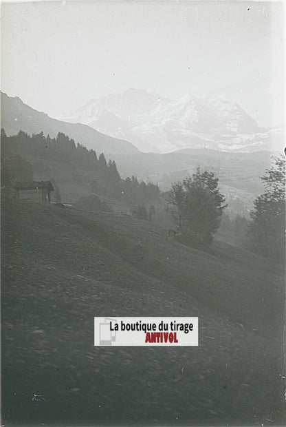 Paysages, Alpes Suisse, stéréo photo plaque verre, noir & blanc, 9x12 cm