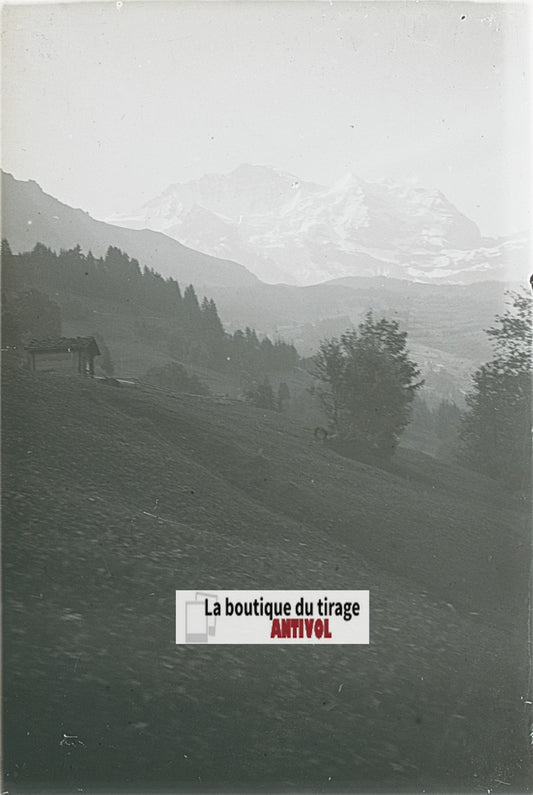 Paysages, Alpes Suisse, stéréo photo plaque verre, noir & blanc, 9x12 cm