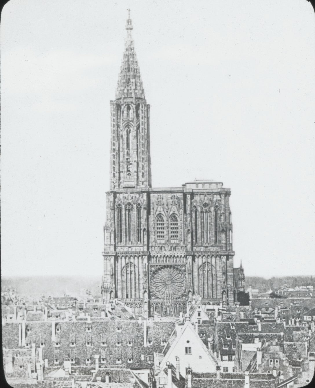 Cathédrale Notre-Dame de Strasbourg, photo plaque verre, positif 8,5x10 cm