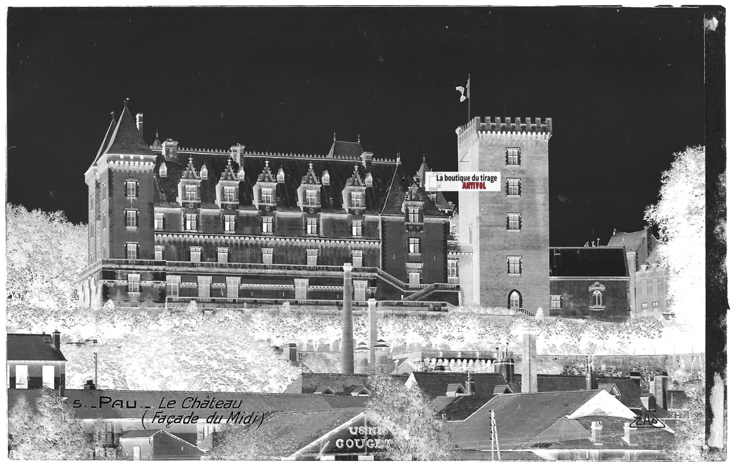 Plaque verre photo vintage, négatif noir & blanc 9x14 cm, façade château Pau