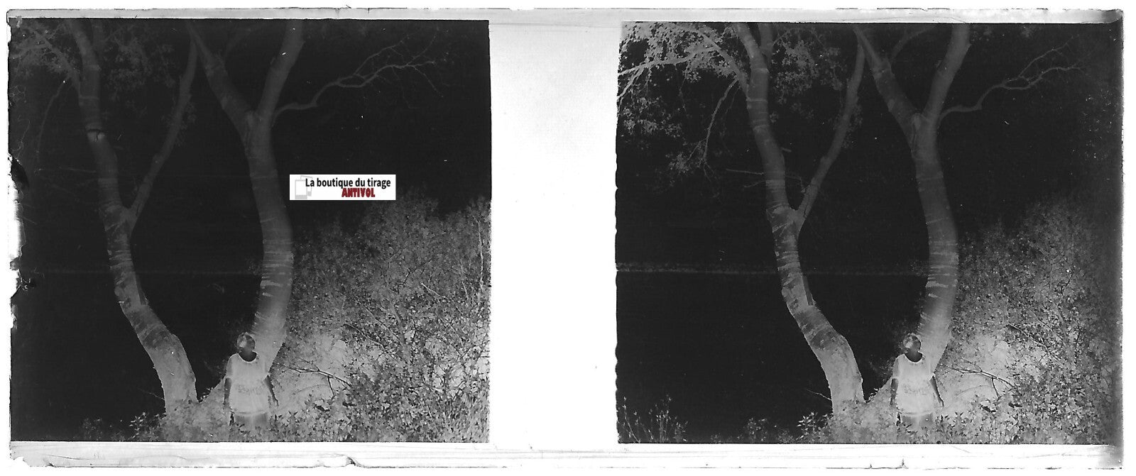 Femme, lac, Plaque verre photo stéréoscopique, négatif noir & blanc 4,5x10,7 cm