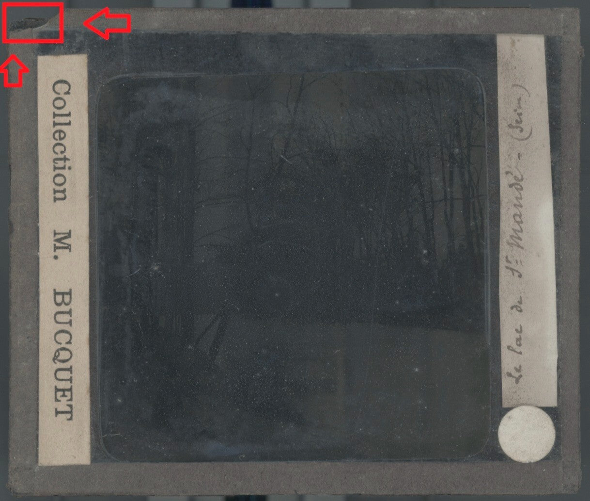 Homme, lac de Saint-Mandé, photo plaque de verre, sépia, positif 8,5x10 cm