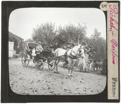 Vertou, cheval calèche, chien, photo ancienne plaque de verre, positif 8,5x10 cm