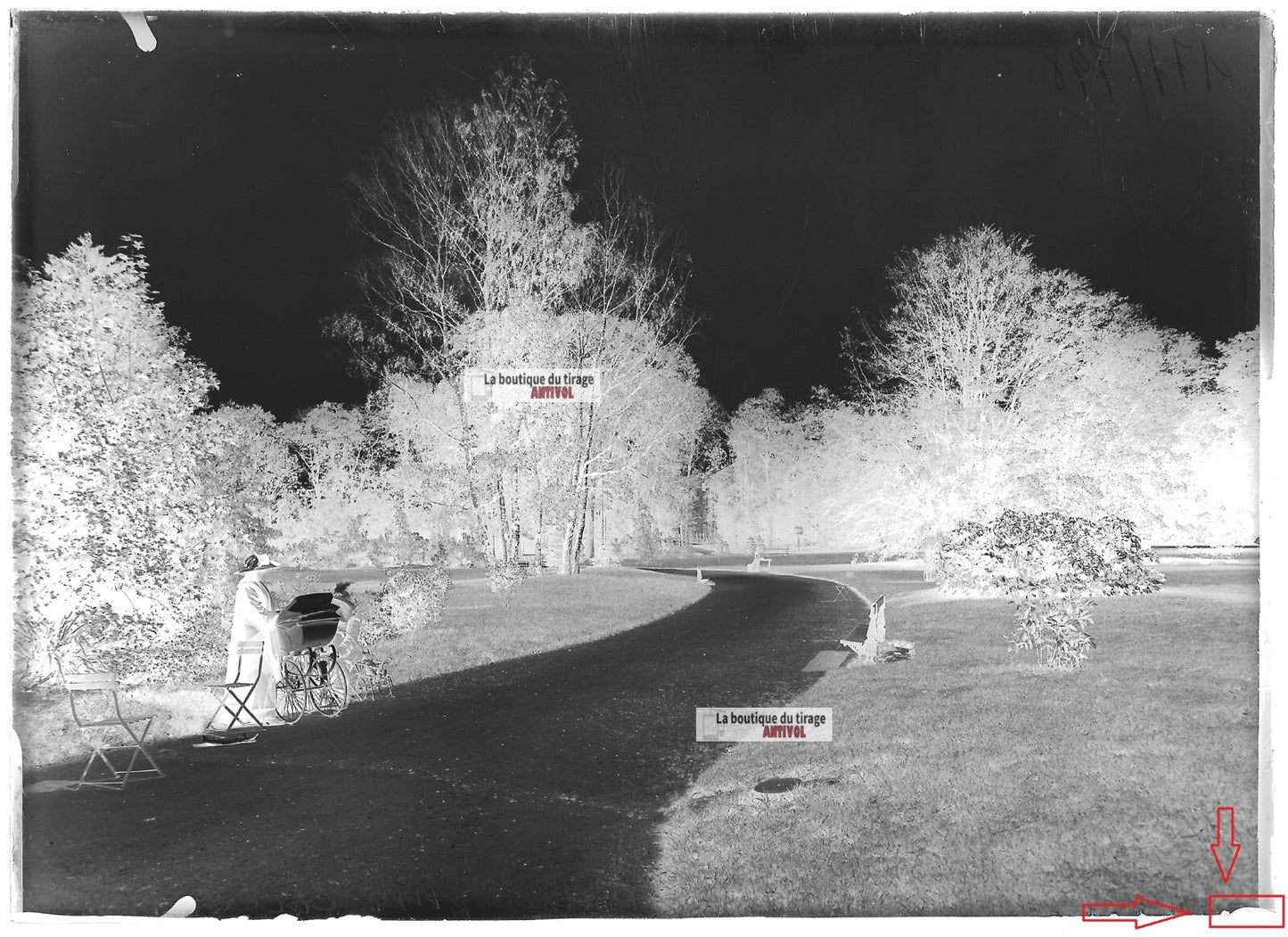 Plaque verre photo ancienne négatif noir et blanc 13x18cm Nancy parc jardin