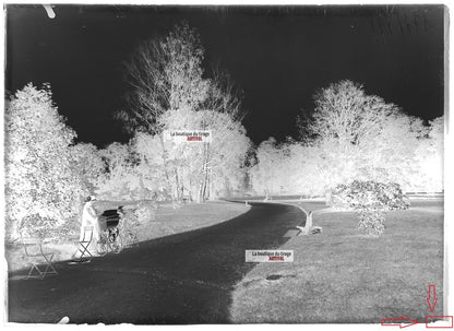 Plaque verre photo ancienne négatif noir et blanc 13x18cm Nancy parc jardin