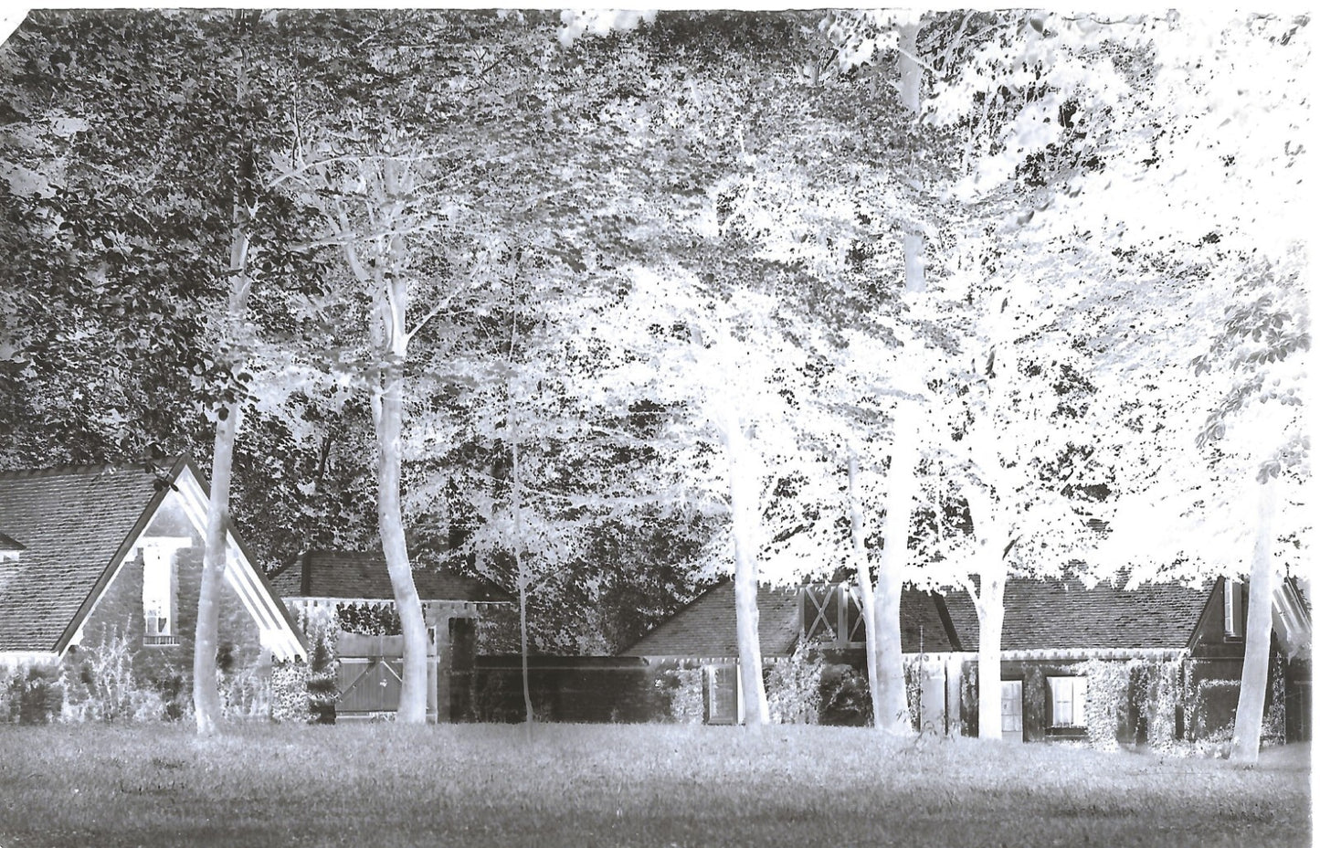 Plaque verre photo ancienne négatif 9x14 cm, noir et blanc château foret vintage