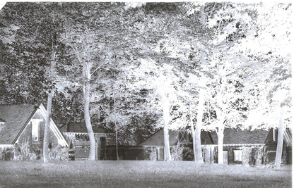 Plaque verre photo ancienne négatif 9x14 cm, noir et blanc château foret vintage