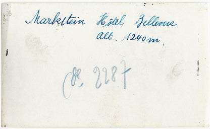 Plaque verre photo, négatif noir & blanc 9x14 cm, Le Markstein, Hôtel Bellevue