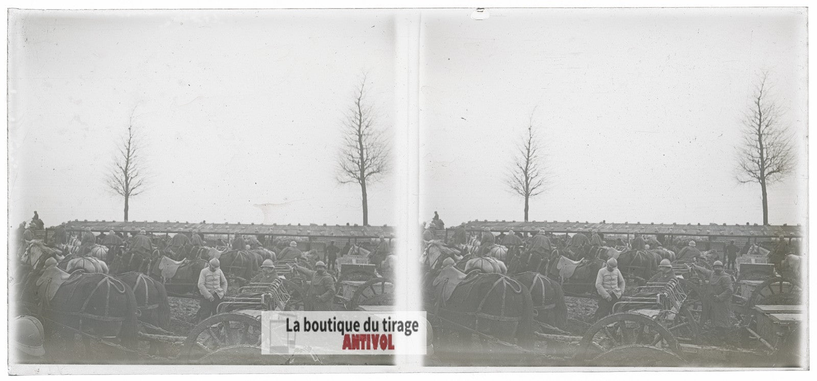 Artillerie hippomobile, chevaux WW1, plaque verre photo ancienne stéréo 6x13 cm