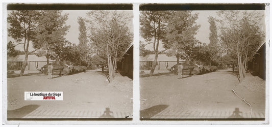 Chars Renault FT, Algérie, plaque verre, photo stéréoscopie, N&B 6x13 cm