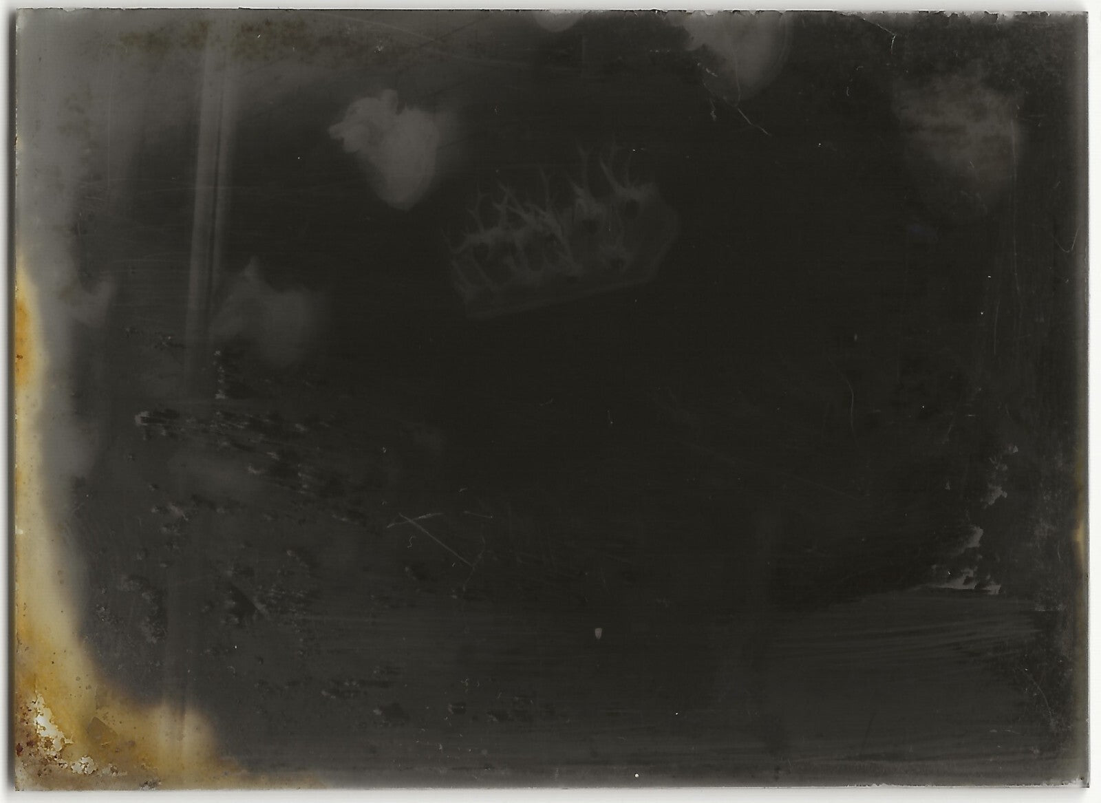 Chasse, taxidermie, Plaque verre photo ancienne, négatif noir & blanc 6x9 cm