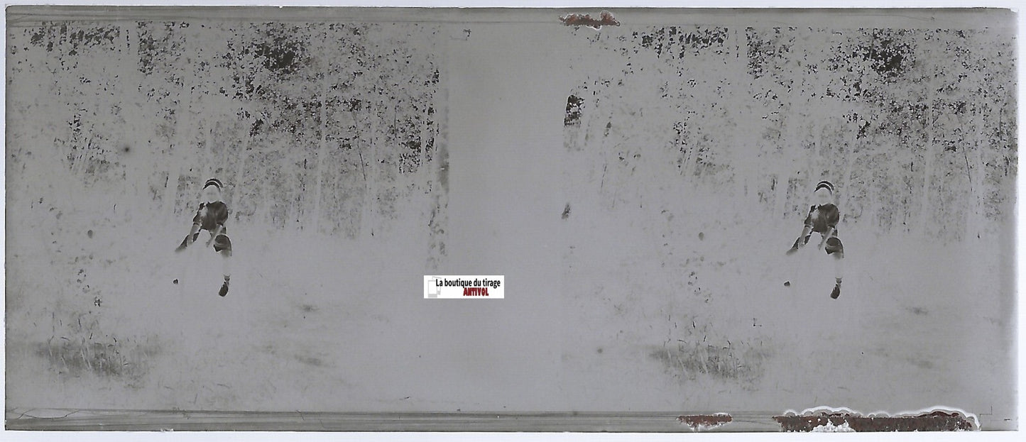 Fillette, cheval, Plaque verre photo stéréo, négatif noir & blanc 4,5x10,7 cm