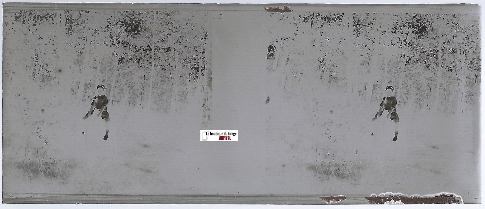 Fillette, cheval, Plaque verre photo stéréo, négatif noir & blanc 4,5x10,7 cm