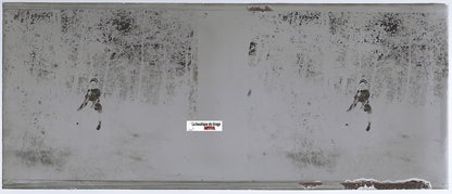 Fillette, cheval, Plaque verre photo stéréo, négatif noir & blanc 4,5x10,7 cm