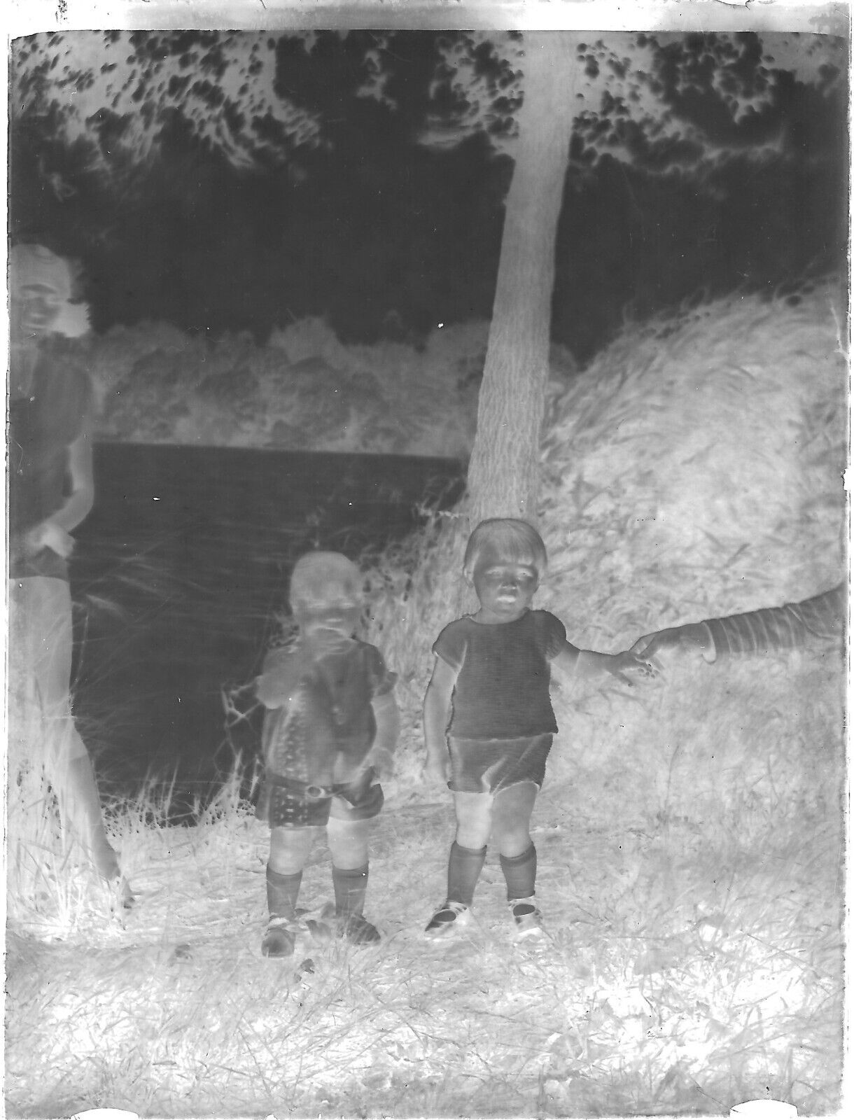 Plaque verre photo ancienne négatif noir et blanc 9x12 cm enfants rivière