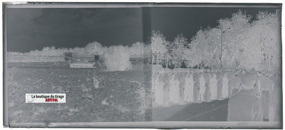 Camp du Ruchard, char, plaque verre, photo ancienne, négatif N&B 6x13 cm