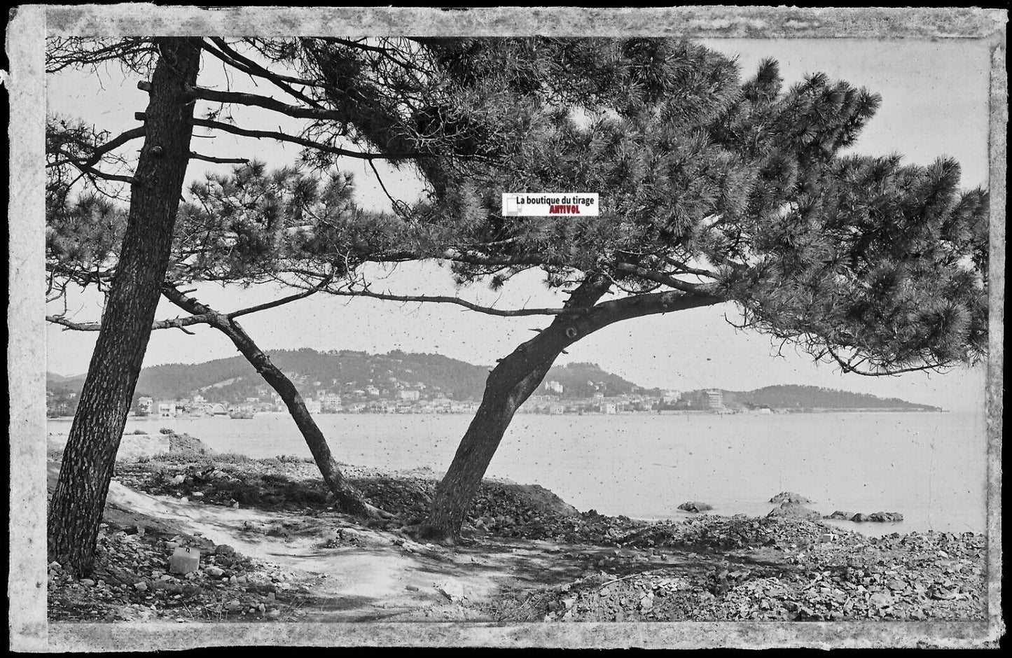 Plaque verre photo ancienne négatif noir & blanc 9x14 cm, Sainte-Maxime, Var