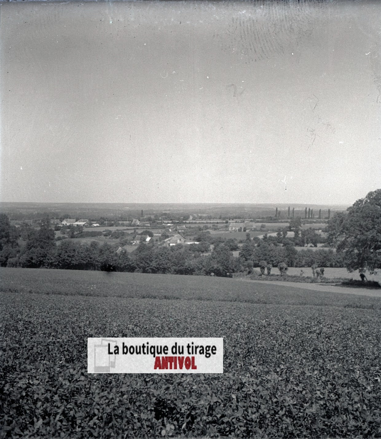 Champs, paysage France, plaque verre, photo ancienne, négatif N&B 6x13 cm