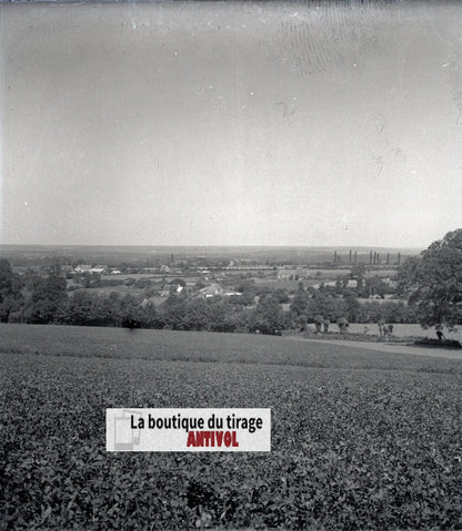 Champs, paysage France, plaque verre, photo ancienne, négatif N&B 6x13 cm