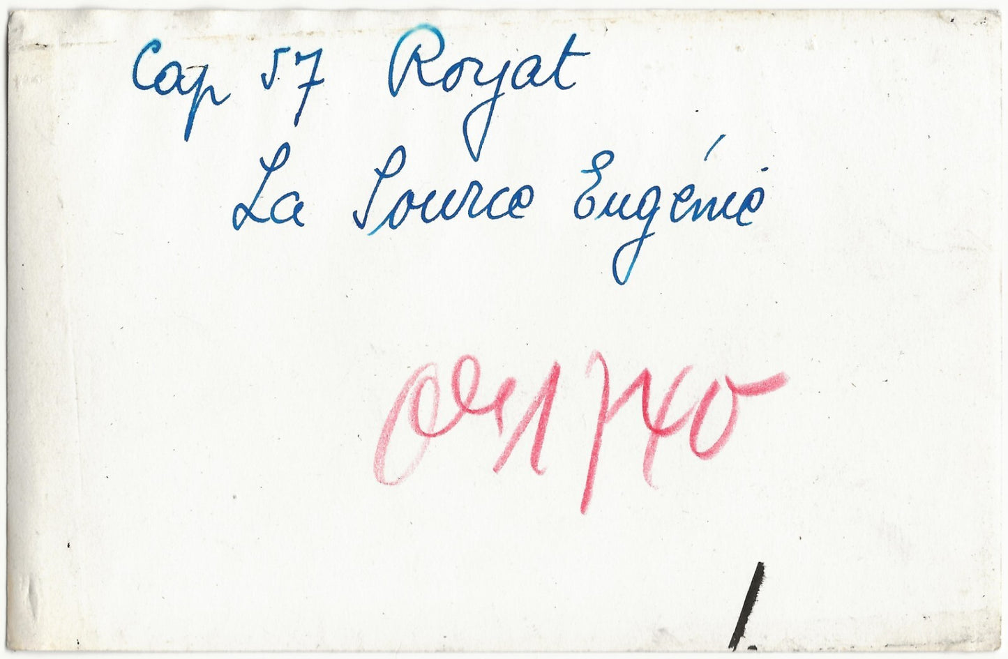 Plaque verre ancienne photo négatif noir & blanc 9x14 cm, Royat, Source Eugénie