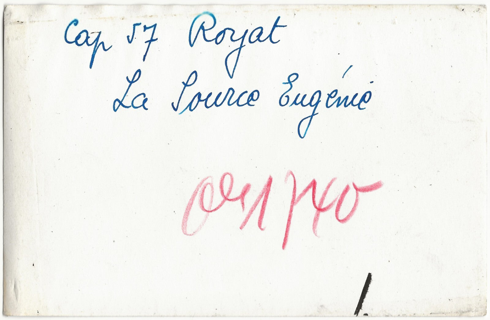 Plaque verre ancienne photo négatif noir & blanc 9x14 cm, Royat, Source Eugénie