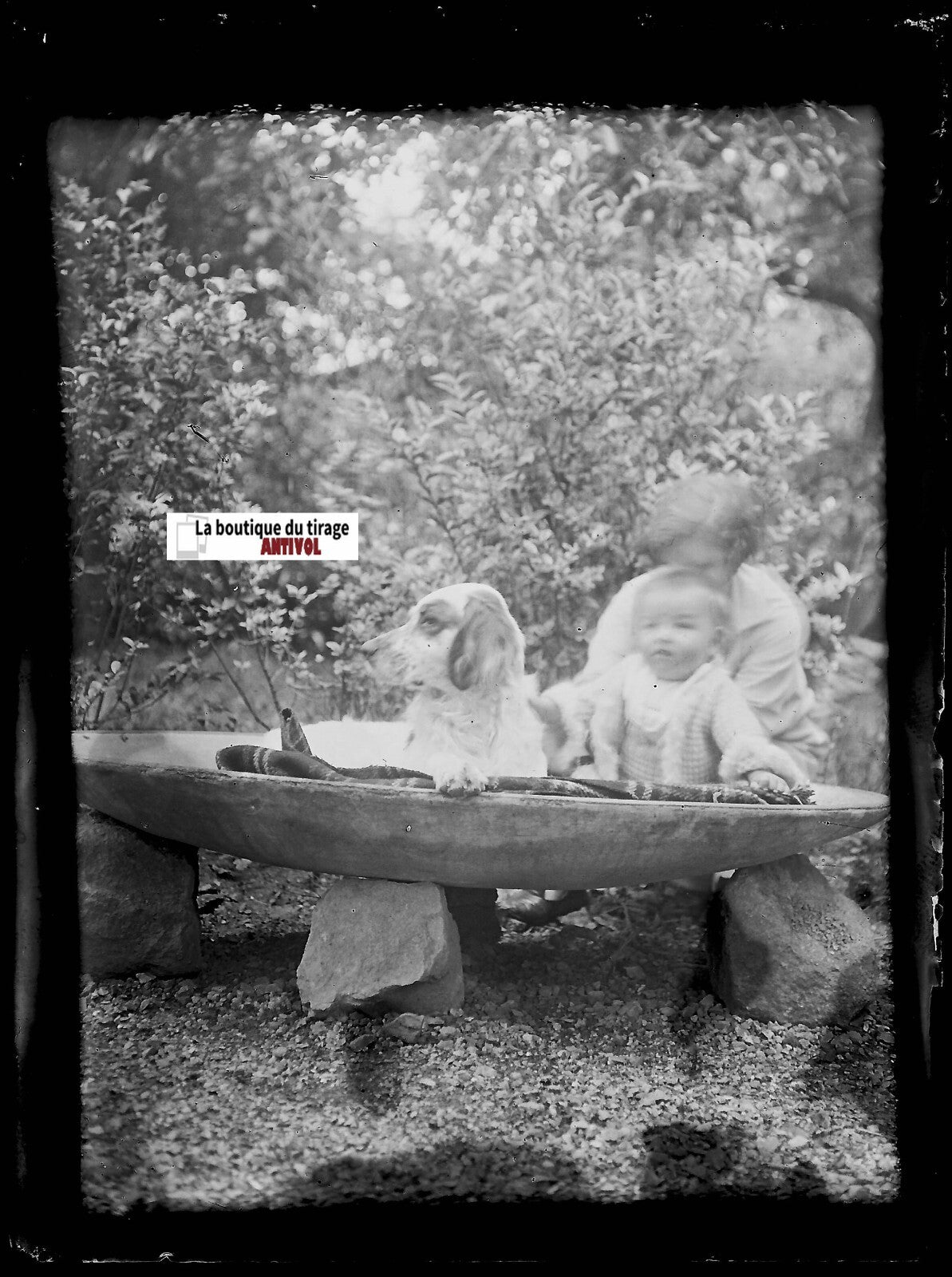 Jardin, chien, bébé, plaque verre photo ancienne, négatif noir & blanc 9x12 cm