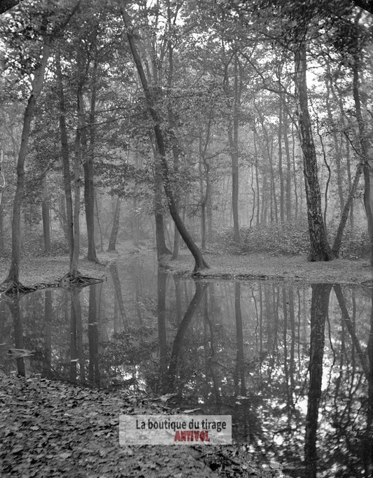 Bois de Boulogne, Paris, plaque verre, photo ancienne, négatif 9x12 cm