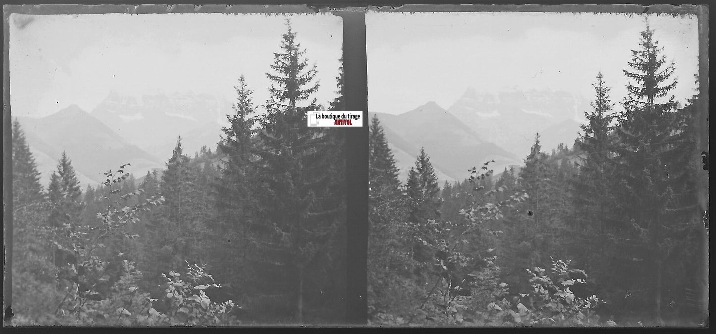 Morgins, Dents du Midi, Plaque verre photo stéréo, négatif noir & blanc 6x13 cm