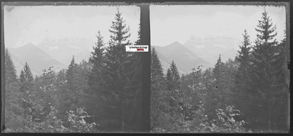 Morgins, Dents du Midi, Plaque verre photo stéréo, négatif noir & blanc 6x13 cm