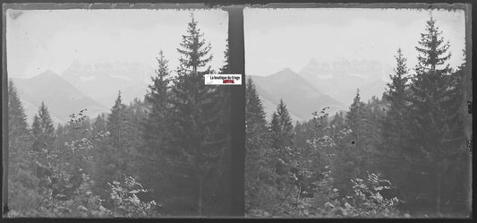 Morgins, Dents du Midi, Plaque verre photo stéréo, négatif noir & blanc 6x13 cm