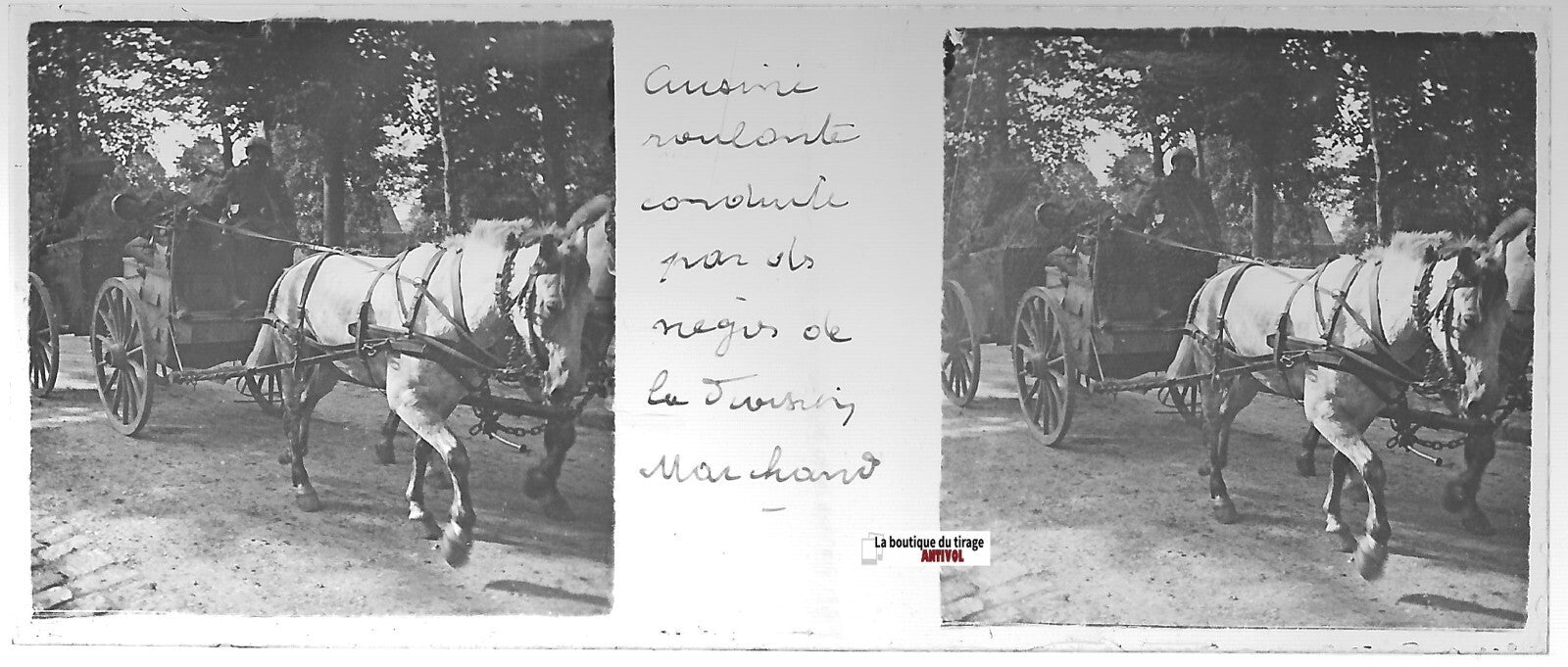 Soldats, chevaux, Plaque verre stéréo, positif noir & blanc 4,5x10,7 cm