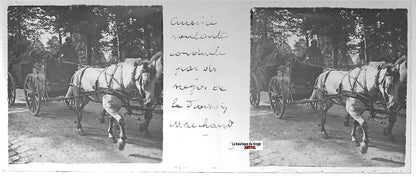 Soldats, chevaux, Plaque verre stéréo, positif noir & blanc 4,5x10,7 cm