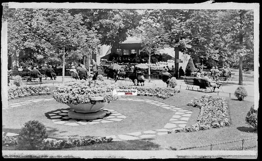 Vittel, jardin parc, Vosges, Plaque verre photo, négatif noir & blanc 6x11 cm