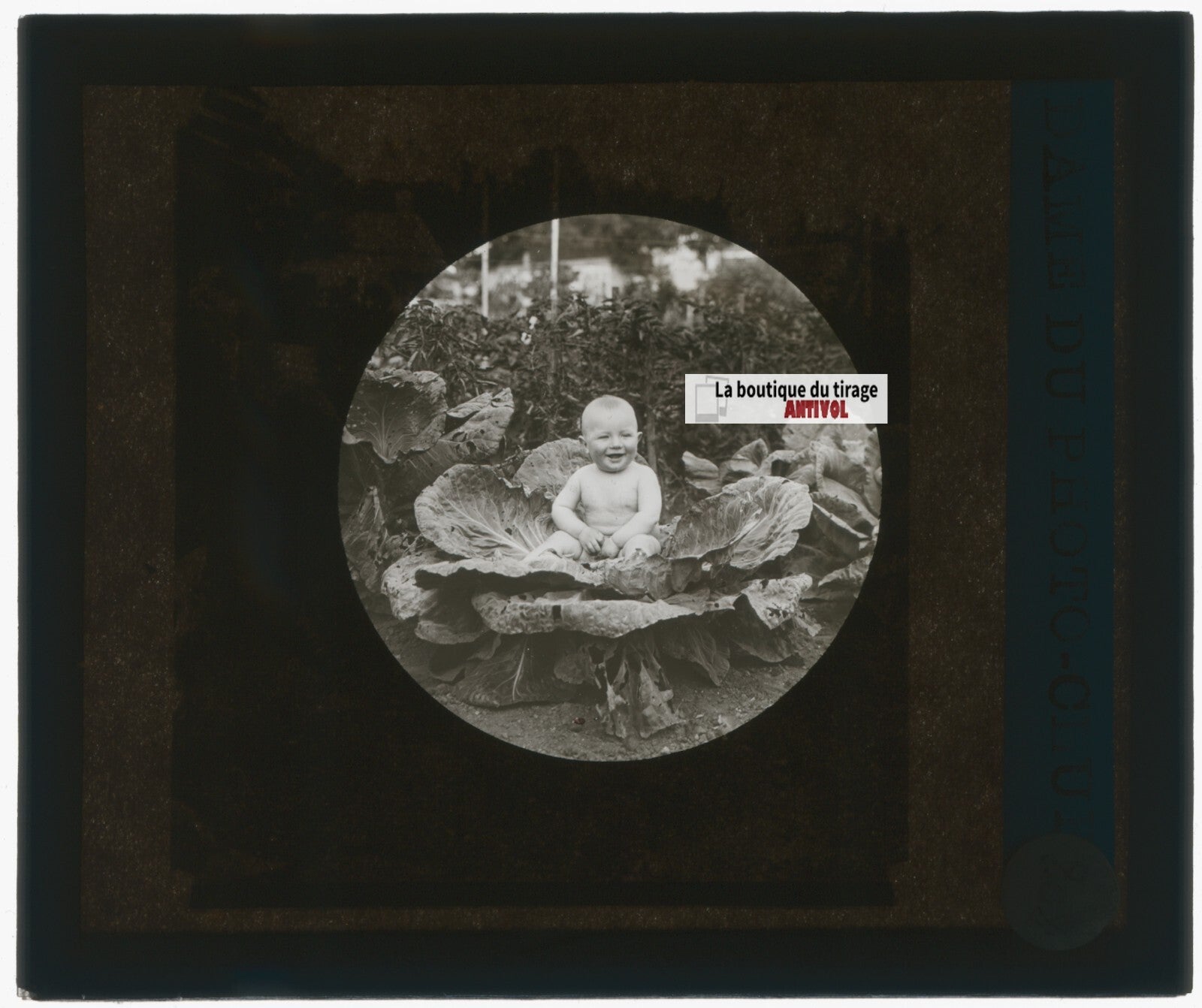 Portrait bébé, photo ancienne plaque verre, noir & blanc, positif 8,5x10 cm