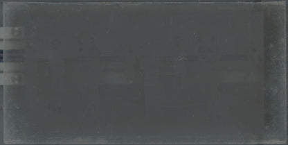 Hippodrome de Longchamp, Paris, stéréoscopie plaque verre, positif 8,5x17 cm